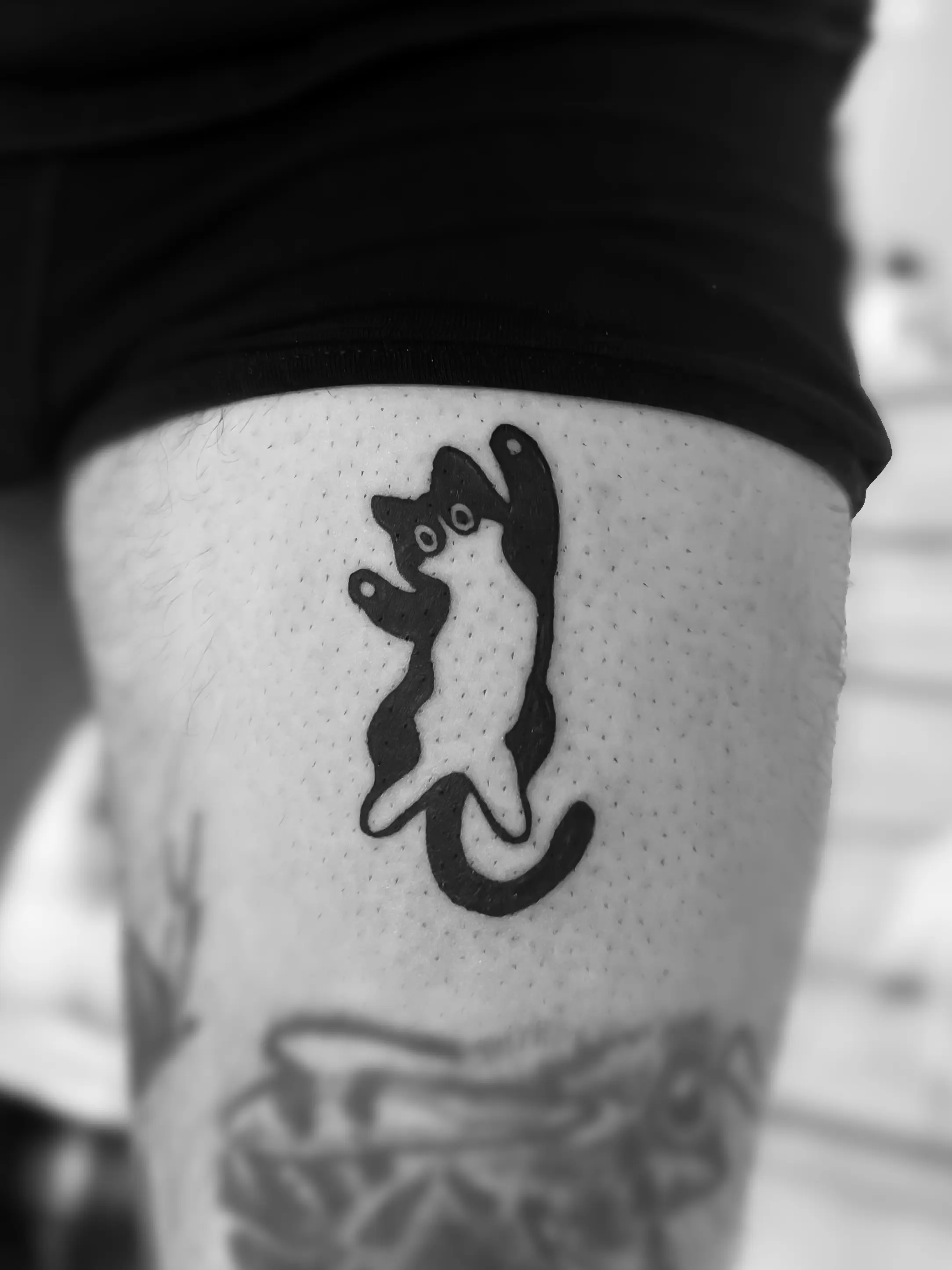 Small cat tattoo