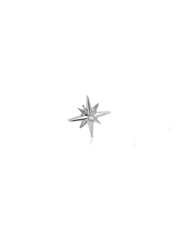 SILVER NORTH STAR